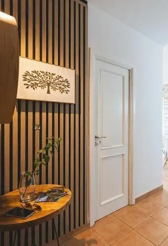 Exclusive - Tenerife Sur